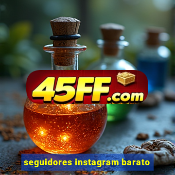 seguidores instagram barato